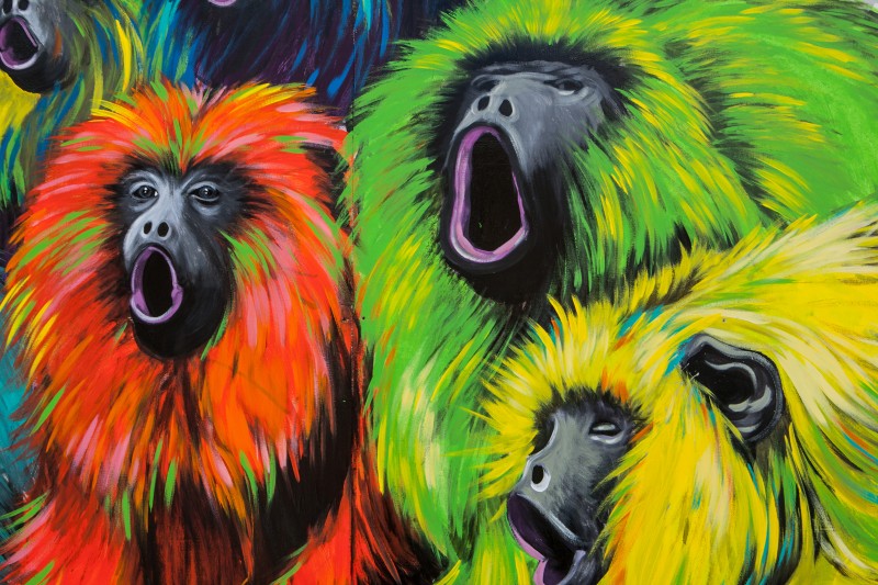 Colourful monkeys