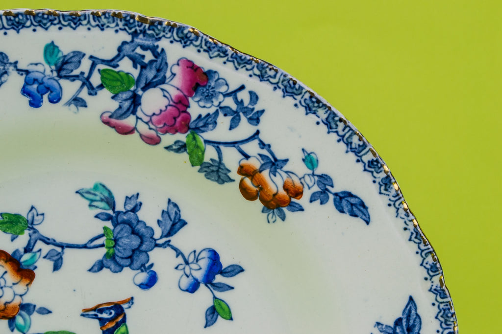 6 medium dinner plates