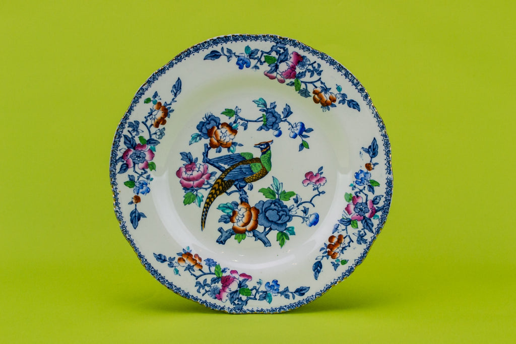 6 medium dinner plates