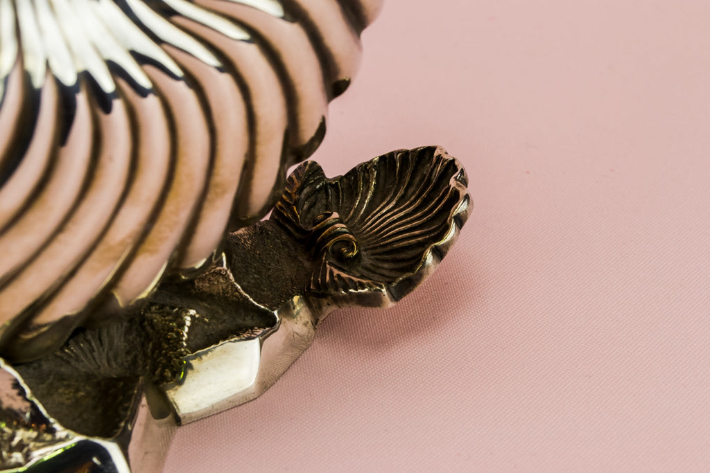 Silver ammonite spoon warmer