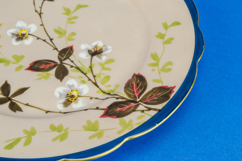 10 Limoges dinner plates