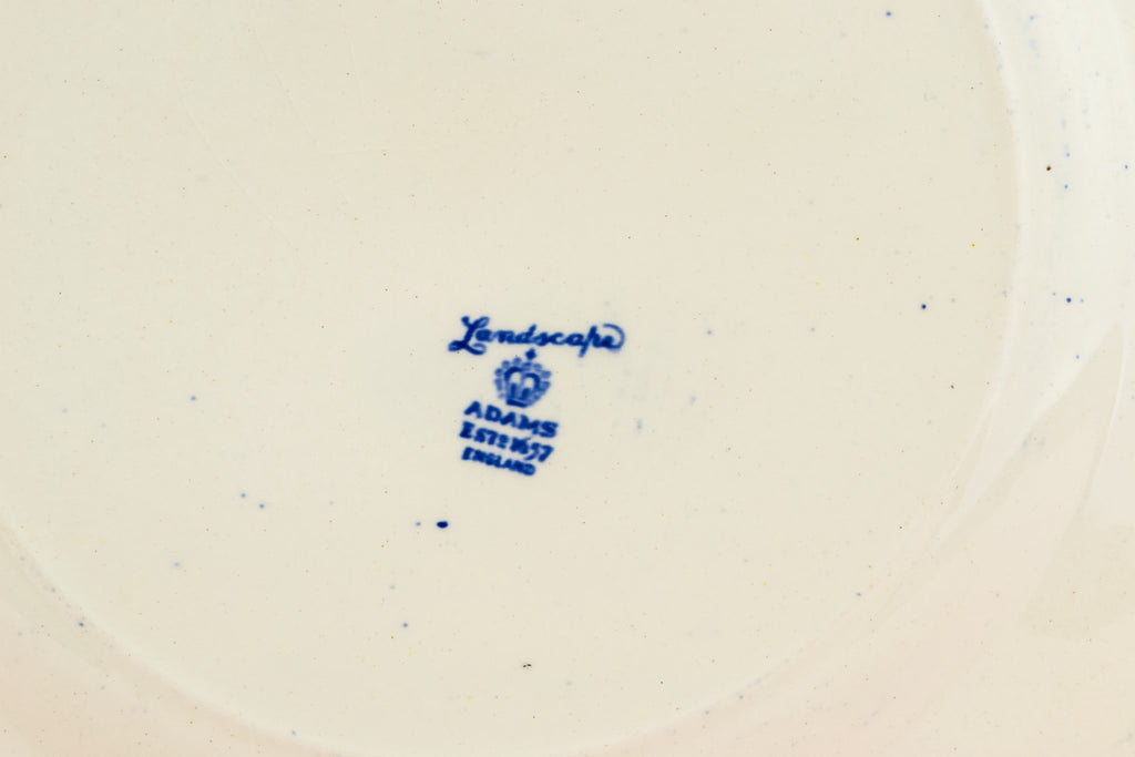 5 blue dinner plates