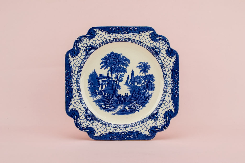 5 blue dinner plates