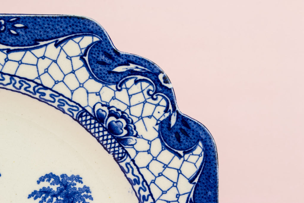 5 blue dinner plates