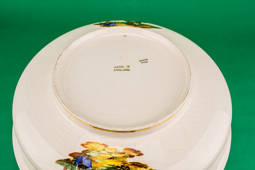 Water jug and basin