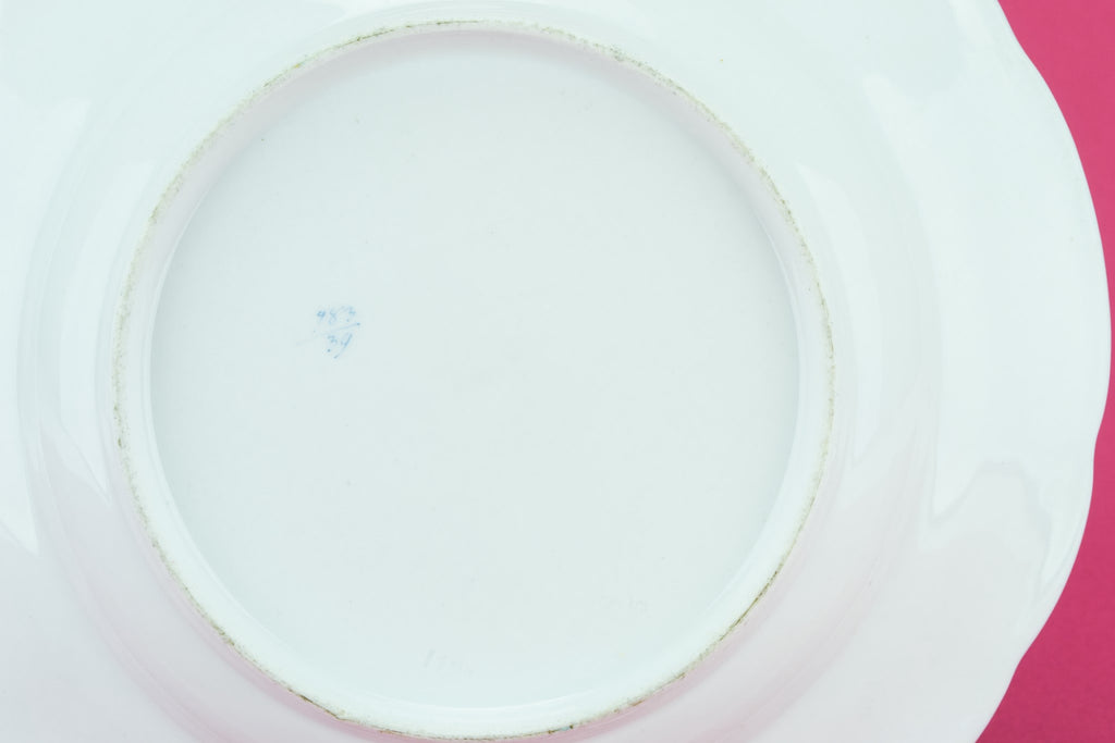 6 Elegant dinner plate