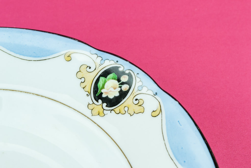 6 Elegant dinner plate