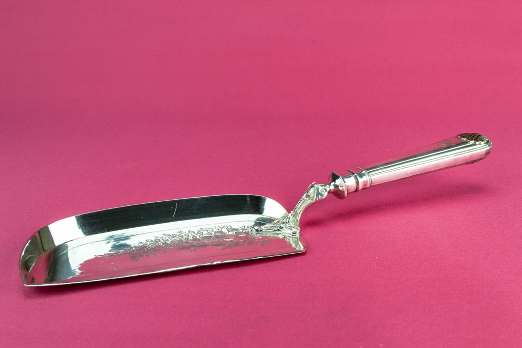 Silver plated crumb tray