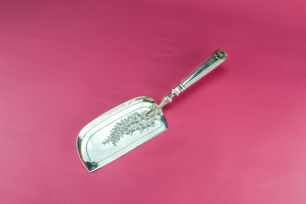Silver plated crumb tray