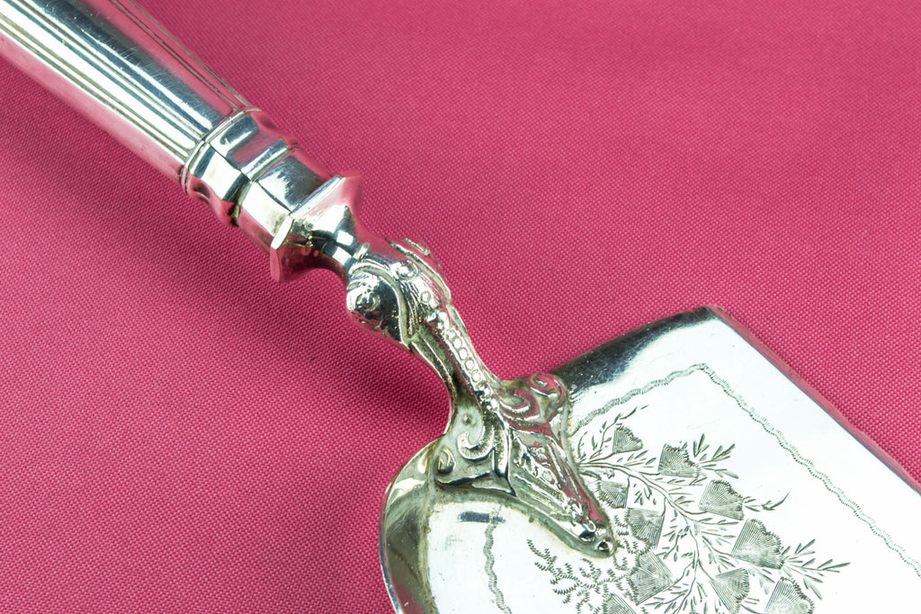 Silver plated crumb tray