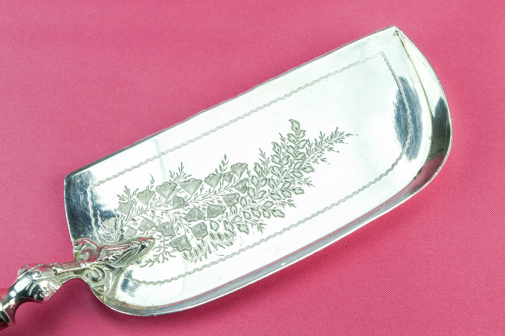 Silver plated crumb tray