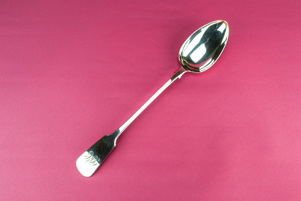 Long serving spoon