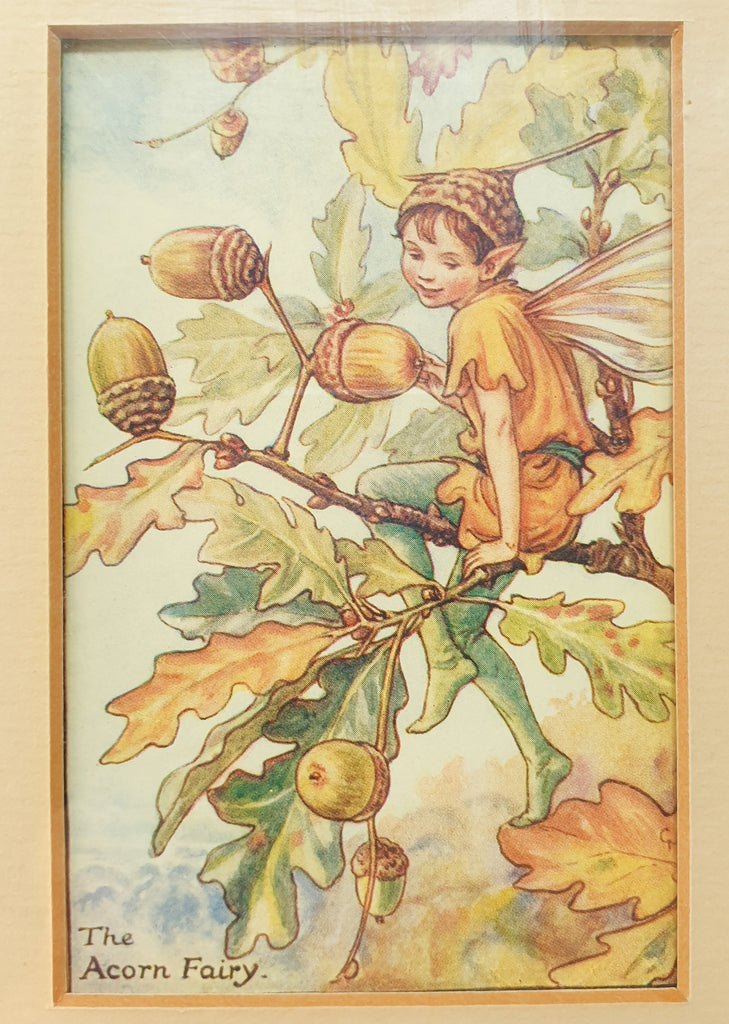 Garden Fairies Framed Composition