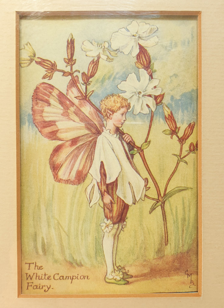 Garden Fairies Framed Composition