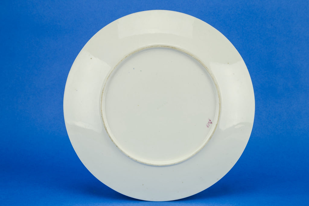 Butterflies painted plate