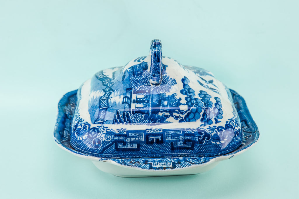 Blue and white tureen