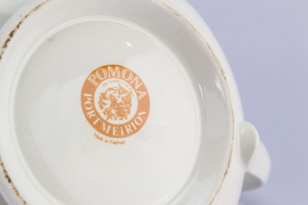 Portmeirion porcelain teapot