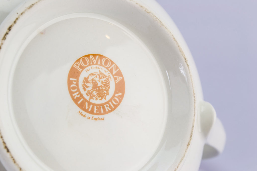 Portmeirion porcelain teapot