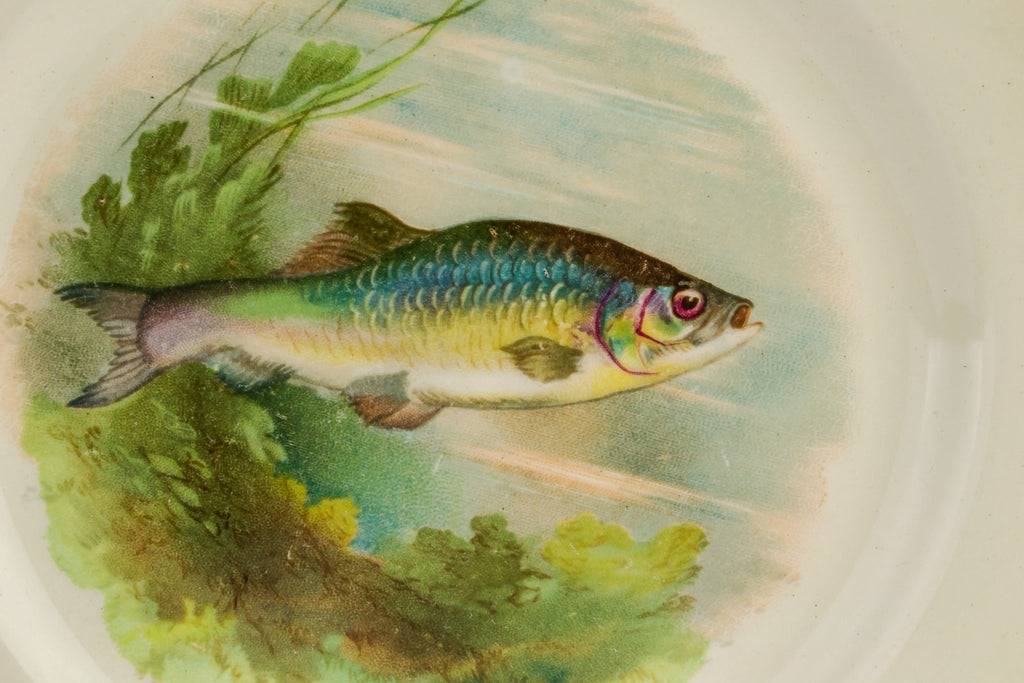 6 fish ceramic plates