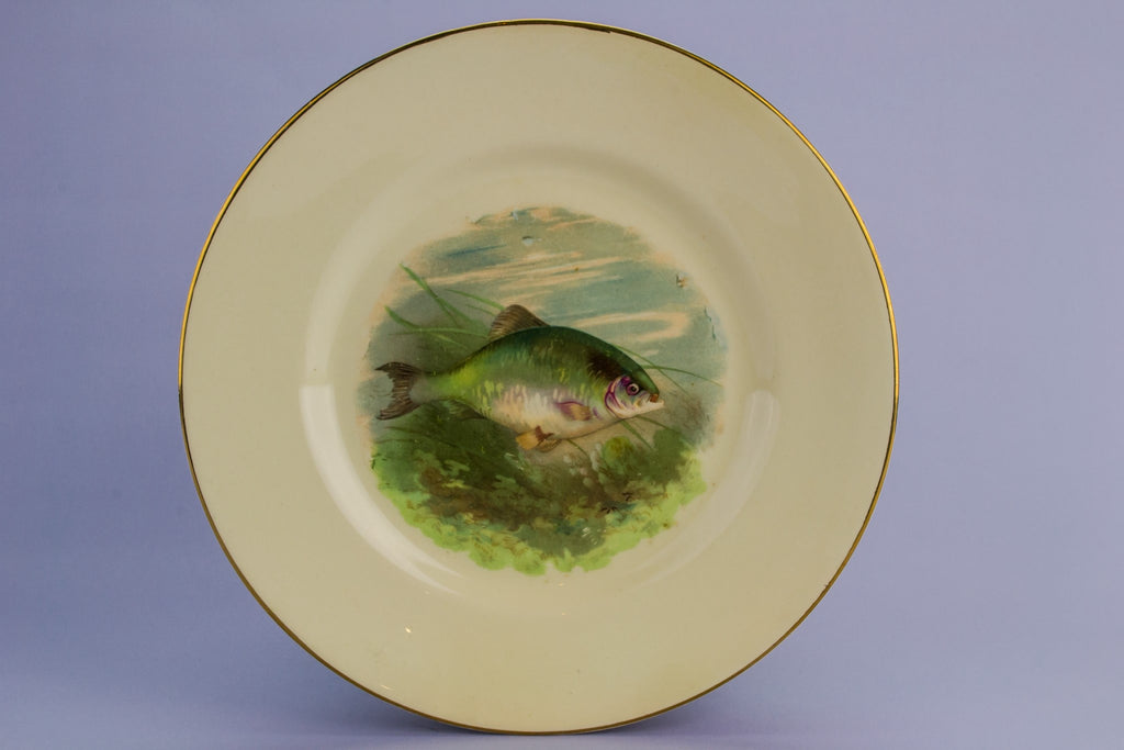 6 fish ceramic plates