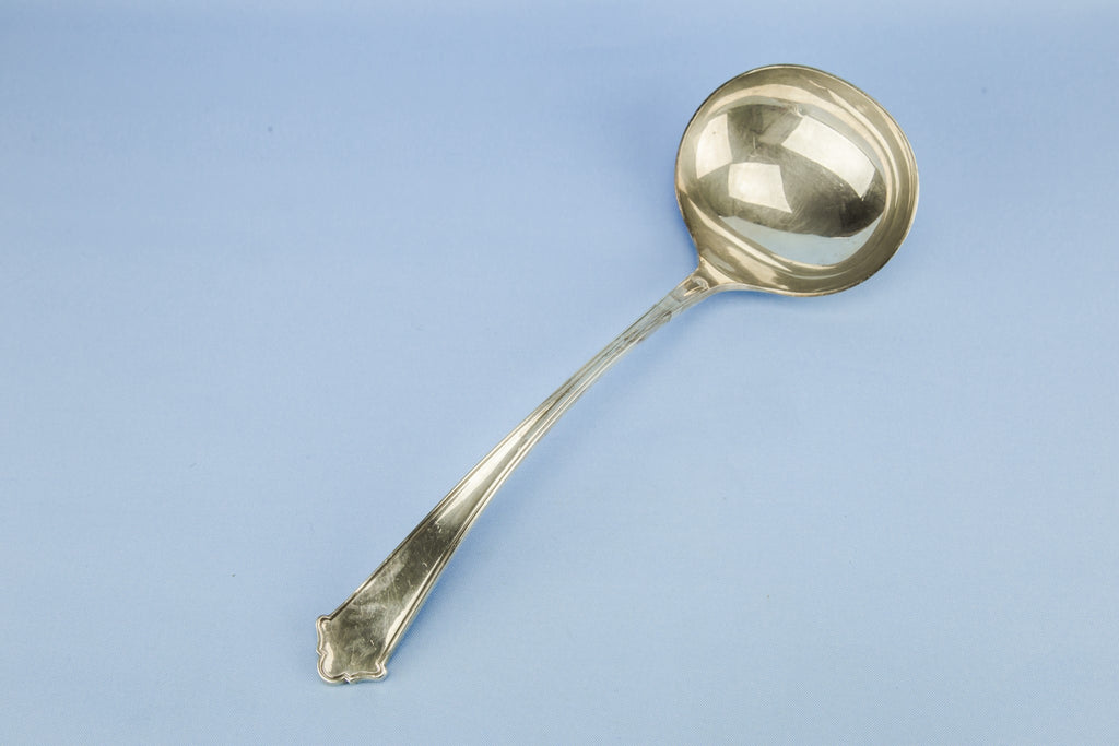 Silver plated ladle