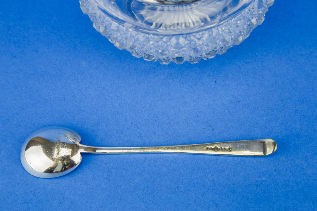 Condiment pot and spoon