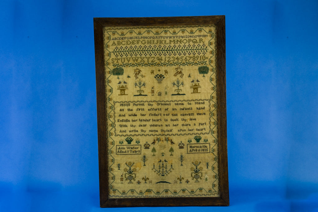 Framed sampler