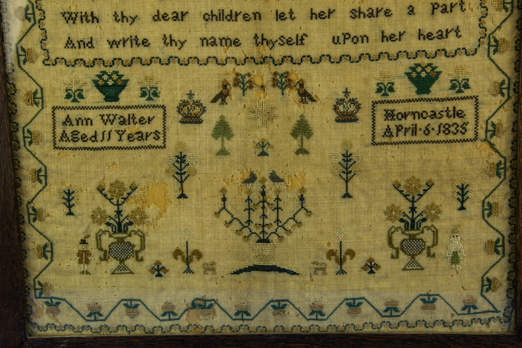 Framed sampler