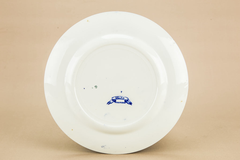 6 blue and white medium plates