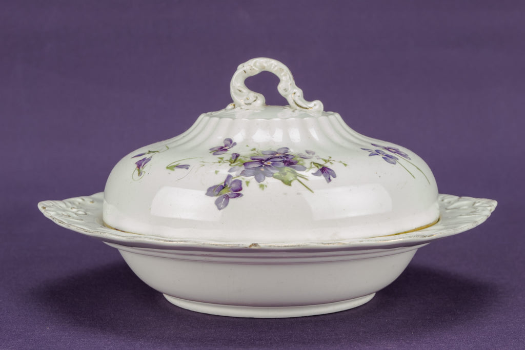Art Nouveau porcelain bowl