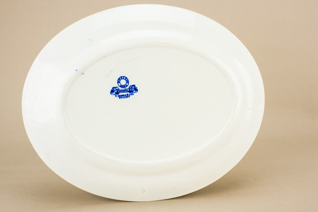Blue and white platter