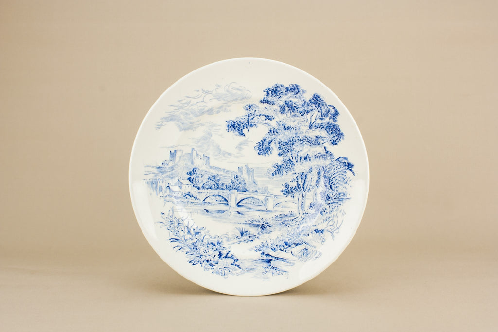 6 blue and white dinner plates