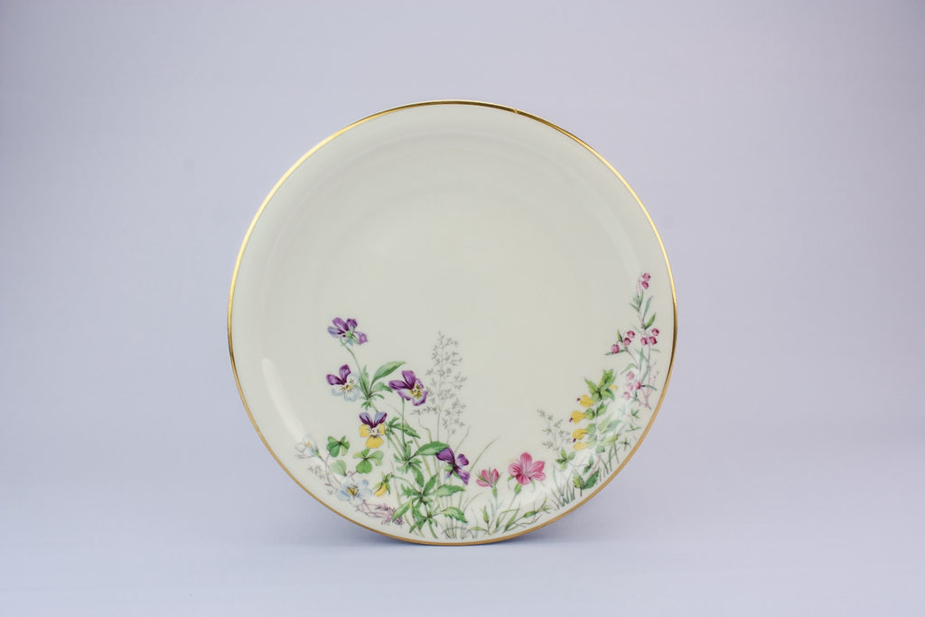 6 medium porcelain plates