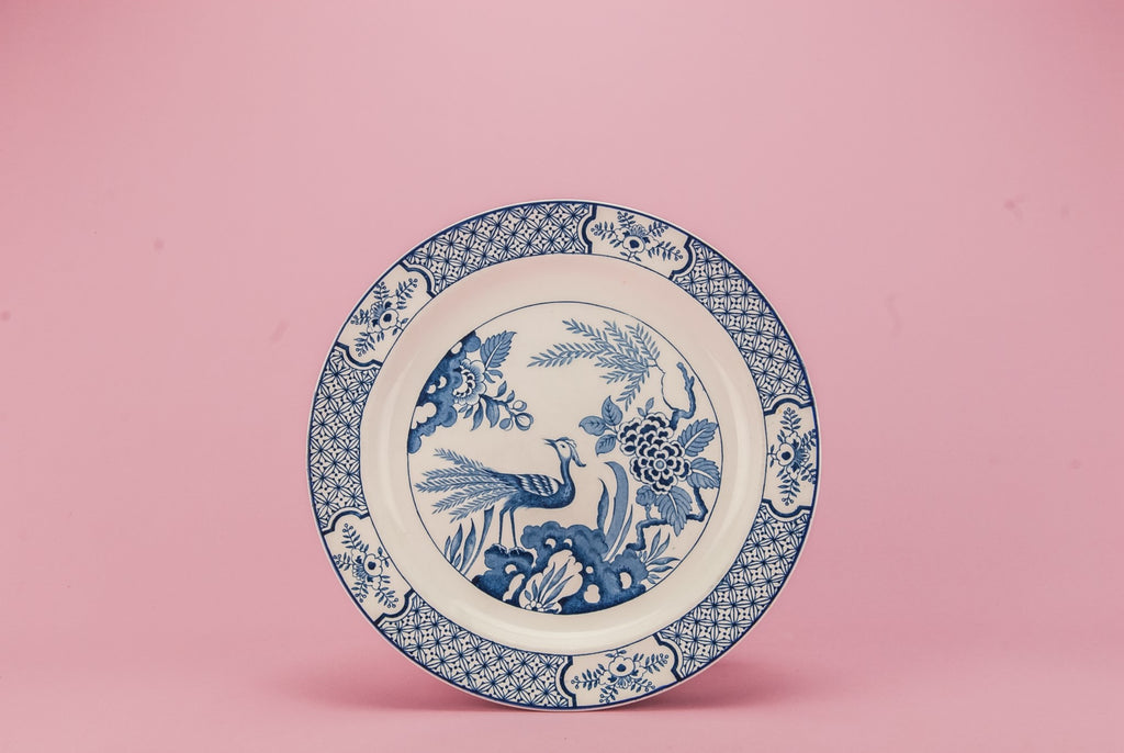 9 blue and white dinner plates