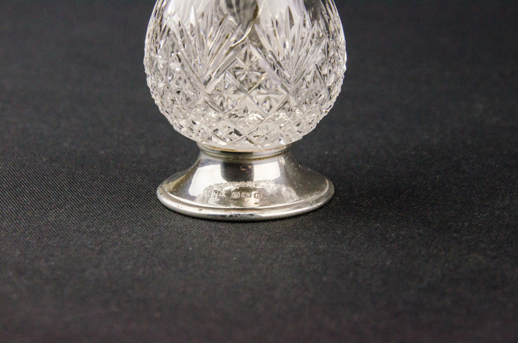 Salt and pepper shakers set