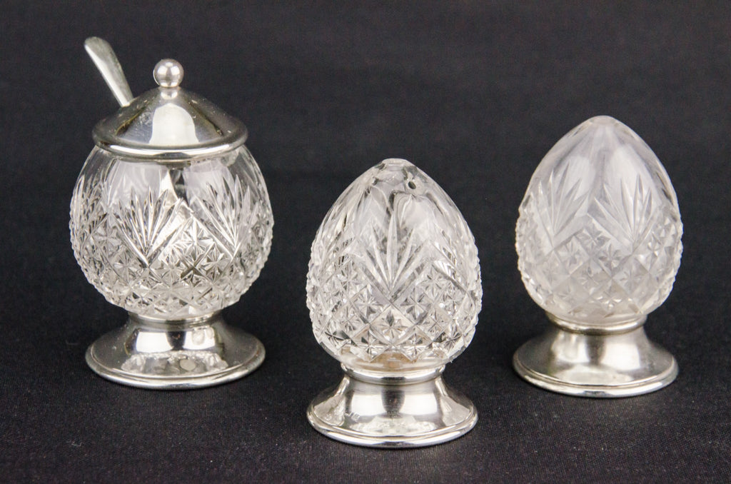 Salt and pepper shakers set