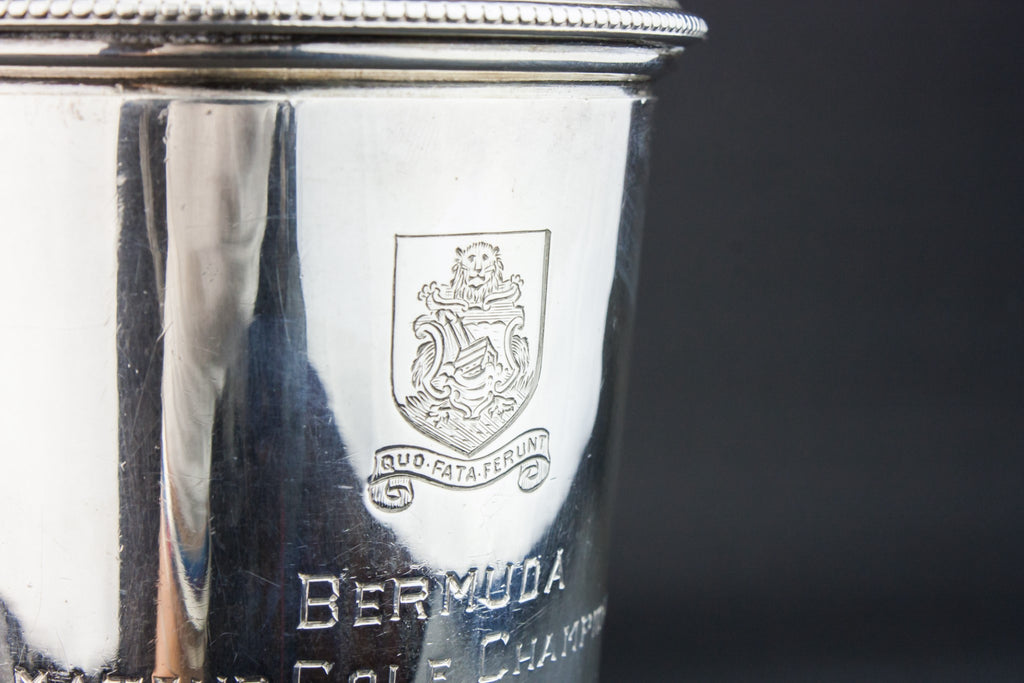 Silver cocktail shaker