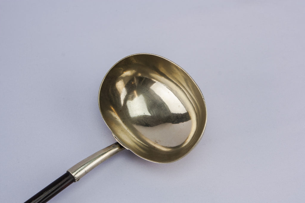 Silver plated ladle