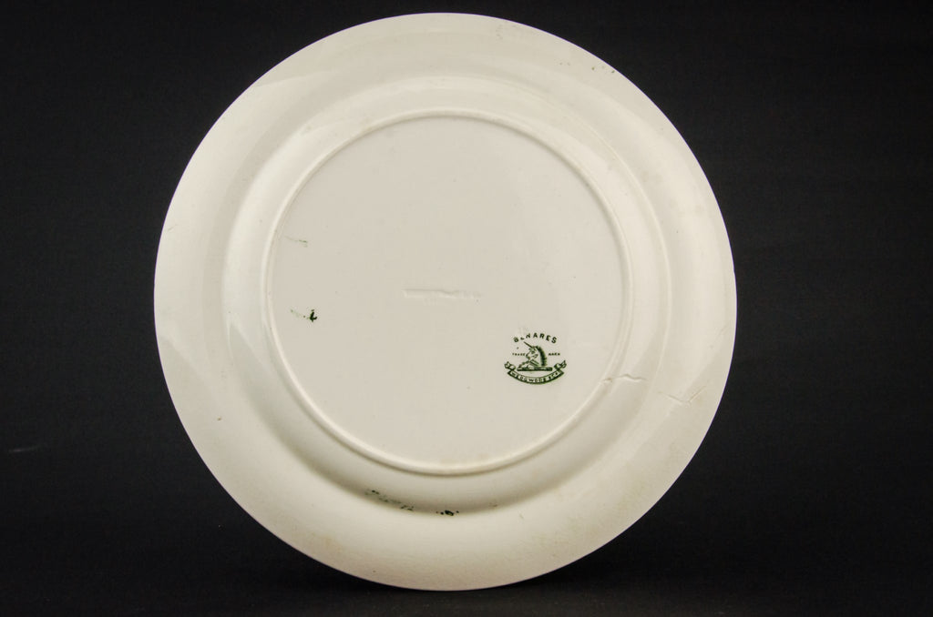 2 pottery dinner plates
