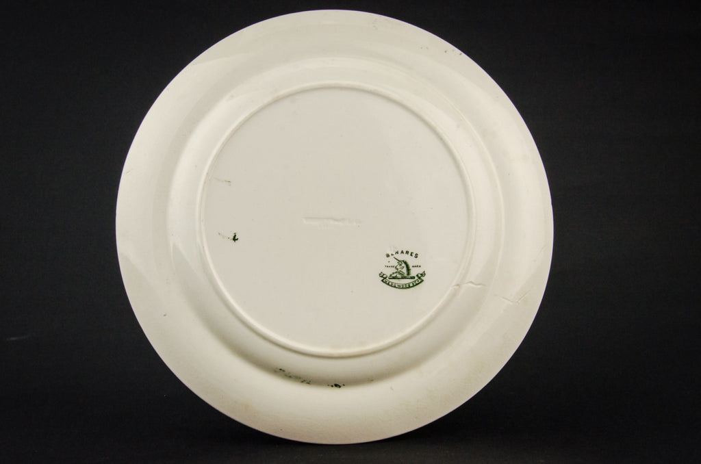 2 pottery dinner plates