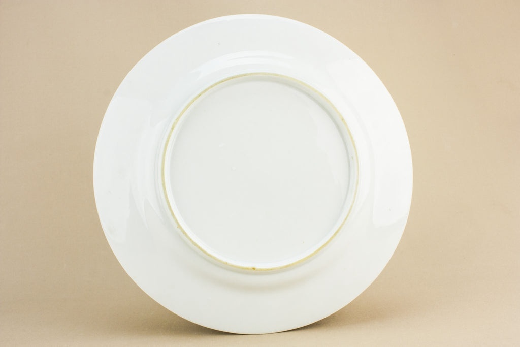 Georgian pottery dinner plate