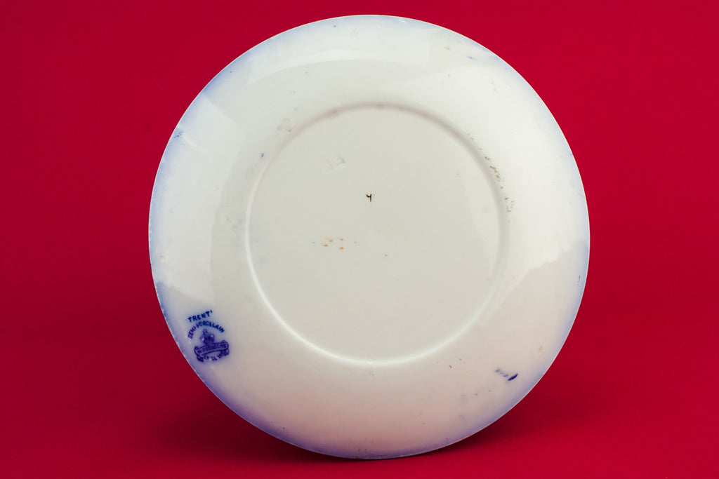 Blue and white serving dish