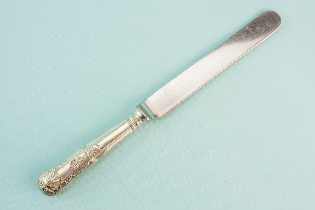 5 large dinner knives