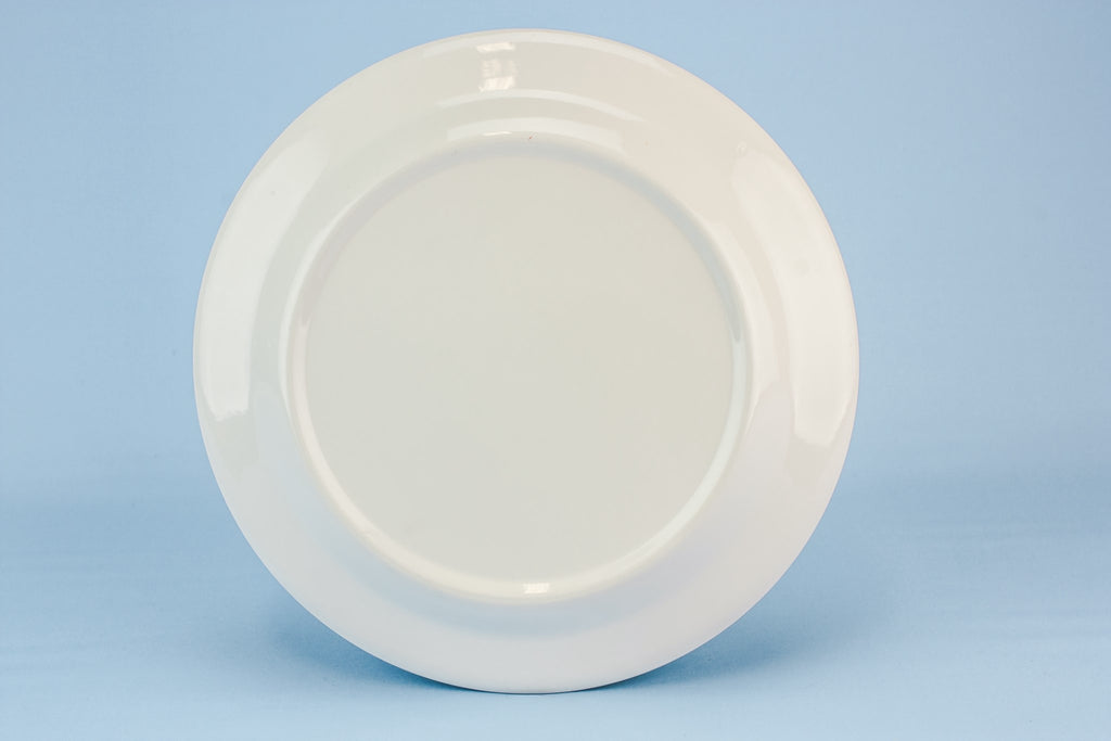 6 pottery dinner plates