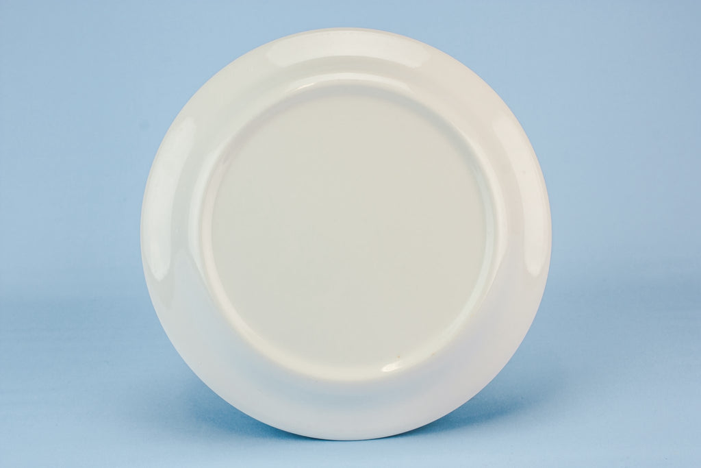 6 Portmeirion pottery plates