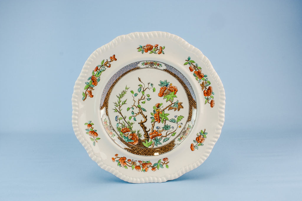 6 Copeland dinner plates