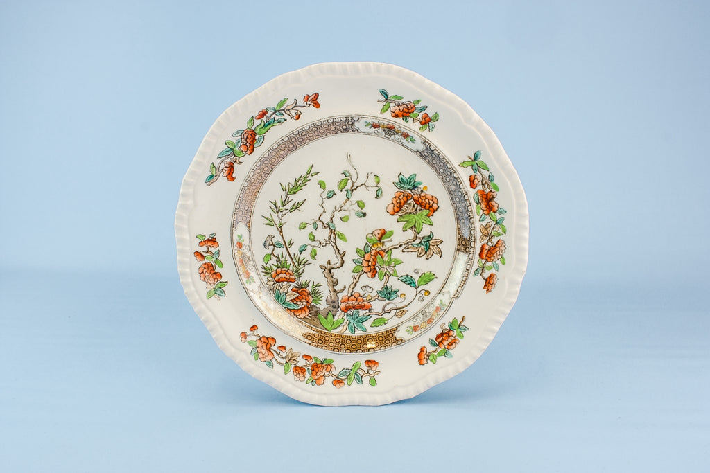 6 Copeland bone china plates