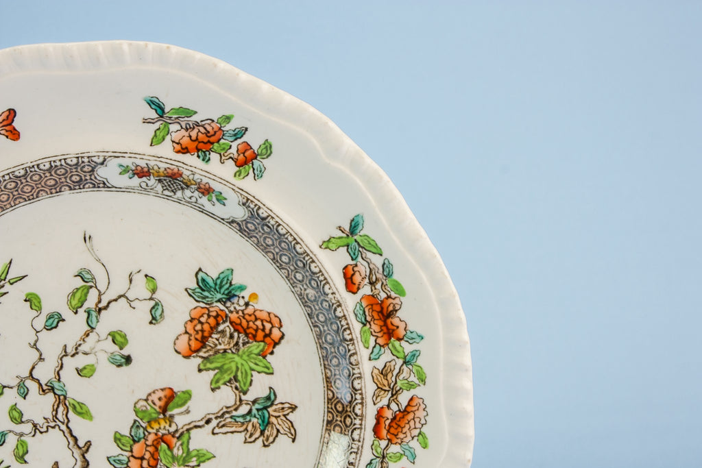 6 Copeland bone china plates