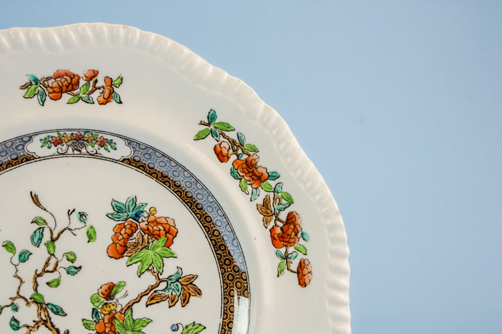 6 Copeland dinner plates