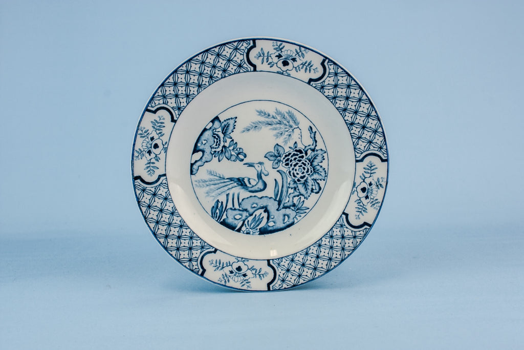 2 blue and white plates